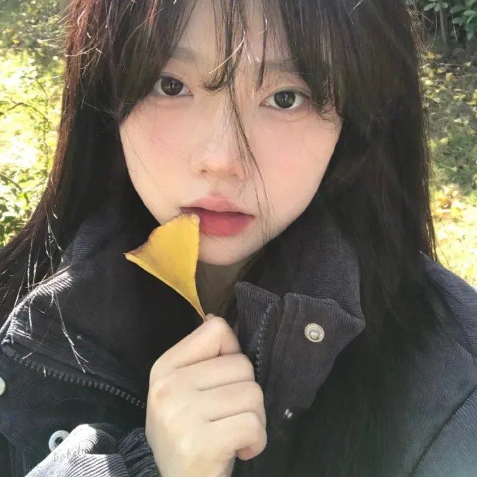 我私人的爱达荷